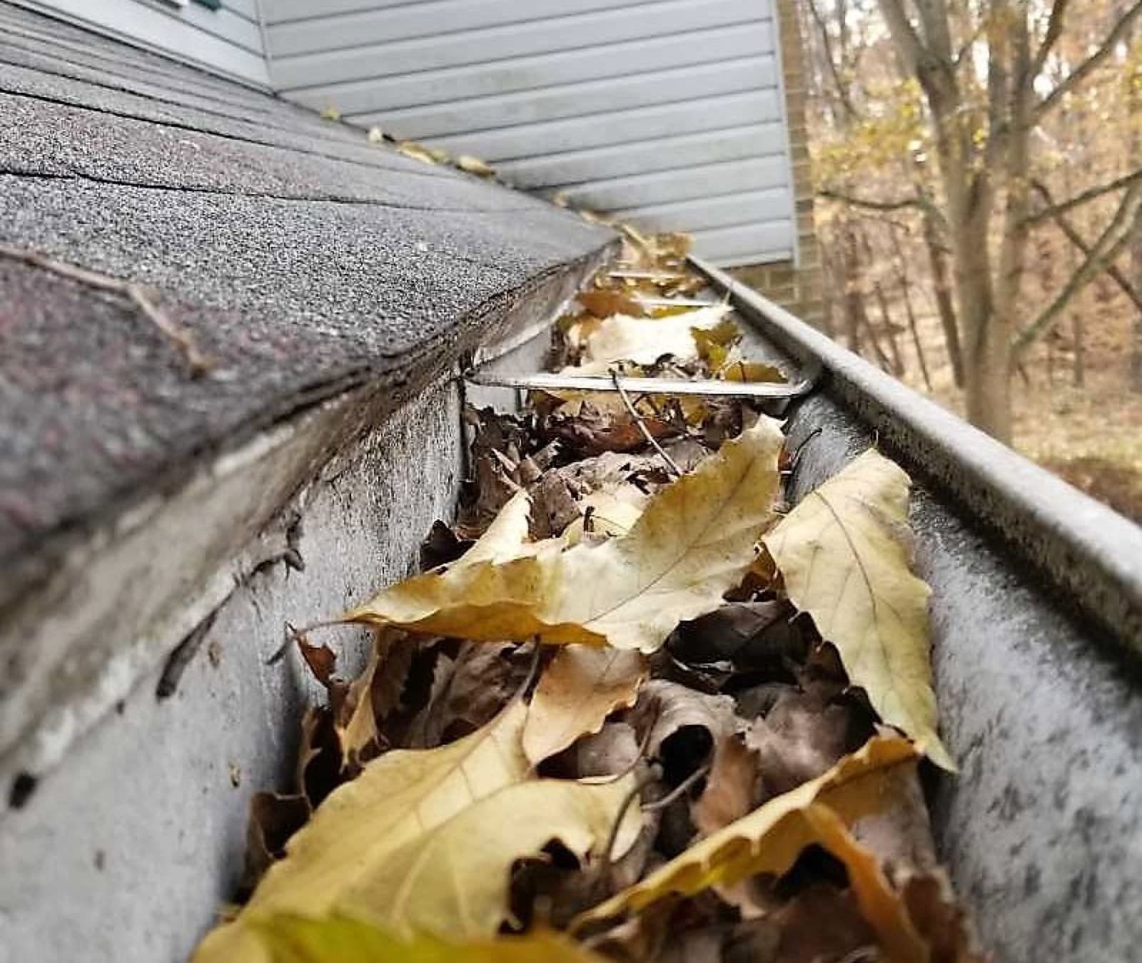 Gutter Cleaning in Glen Rock, NJ